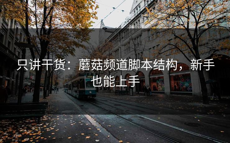 只讲干货:蘑菇频道脚本结构,新手也能上手