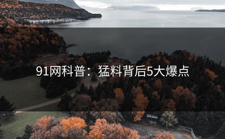 91网科普：猛料背后5大爆点